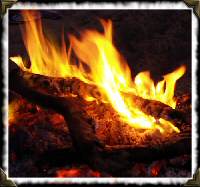 Campfire on the beach